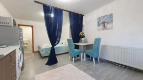 Studio Apartman Mint Bihac